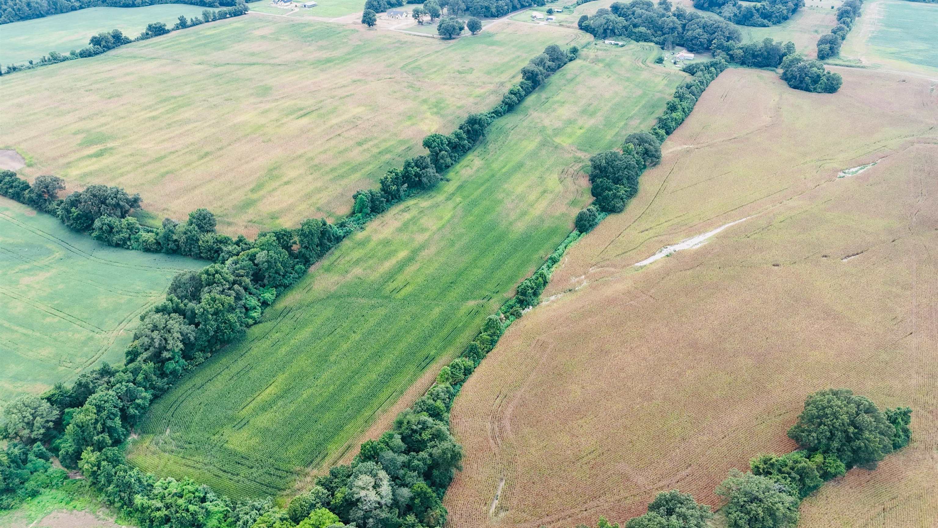 an aerial view of a yard