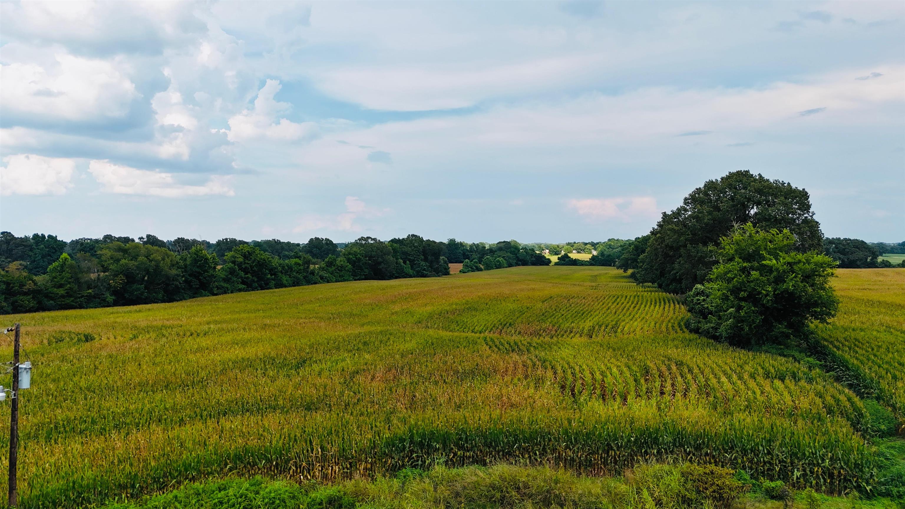 1622 Sanford Road Covington, TN 38019 - Photo 4 of 4 a view of an ocean from a yard