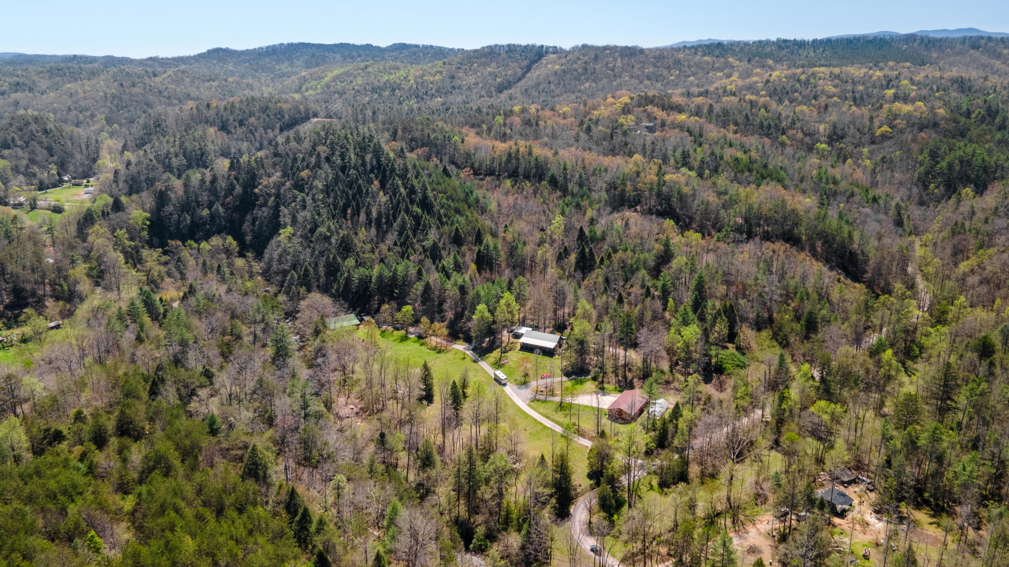 1487 Spring Creek Road Reliance, TN 37369 - Photo 3 of 55 Gallery Image 3
