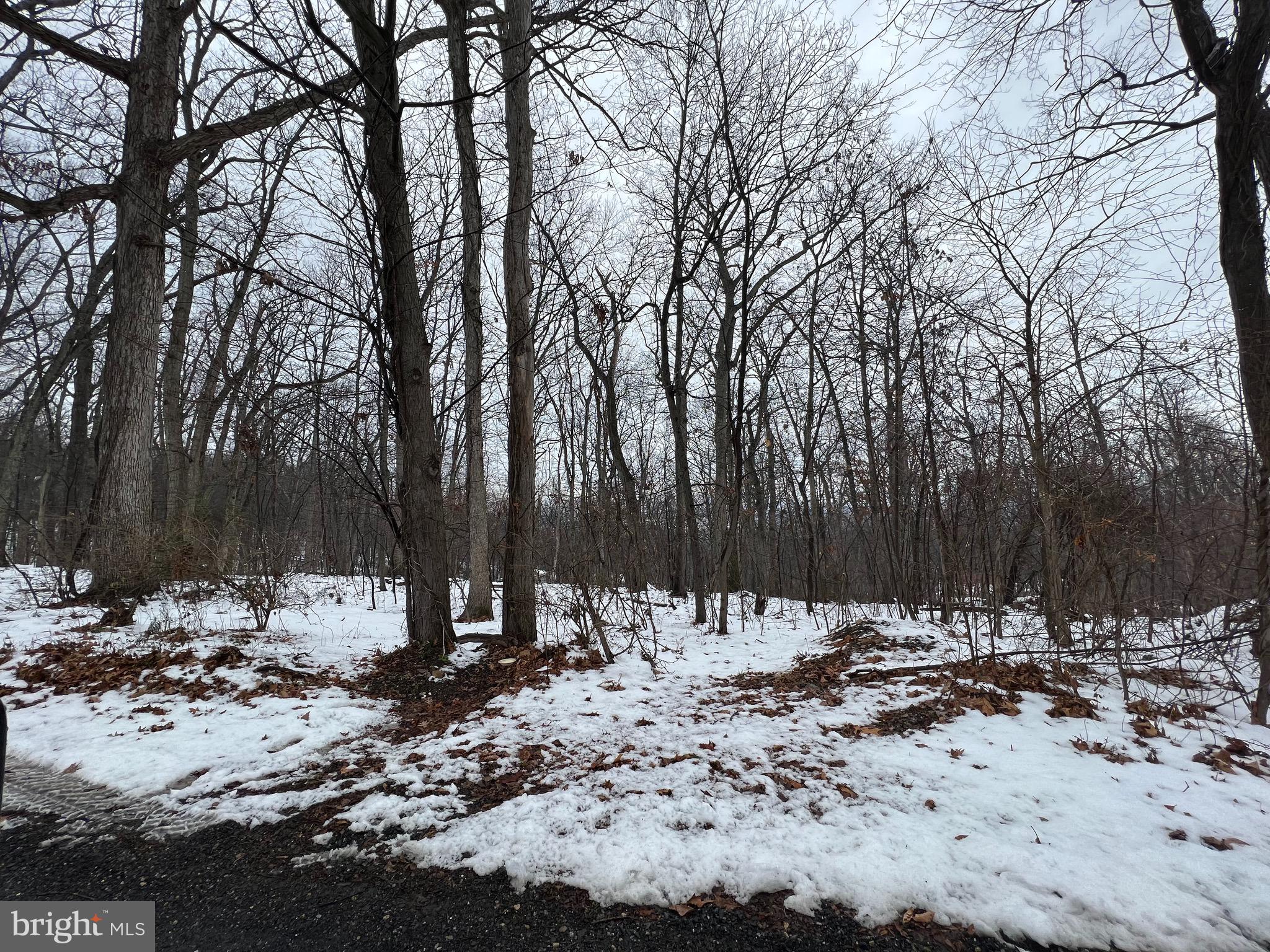 Ridge Road Front Royal, VA 22630 - Photo 2 of 6