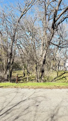 a garden view with large trees