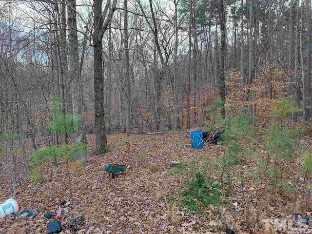 a view of tall trees with a wooden fence