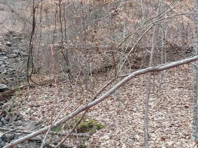 a view of wooden floor