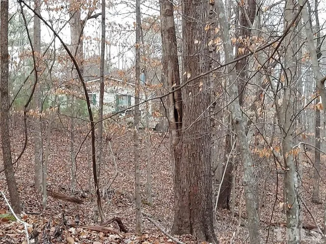 a bathroom with a shower curtain