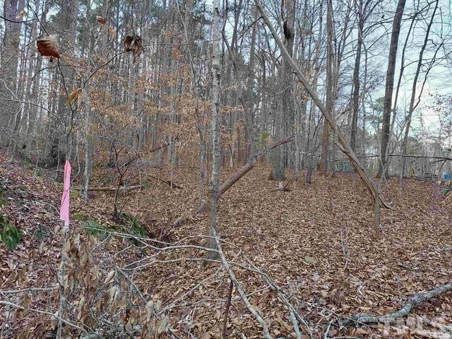 a view of a yard with trees in the background