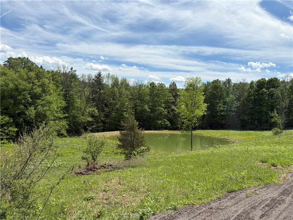46 County Road Norwich, NY 13815 - Photo 21 of 27