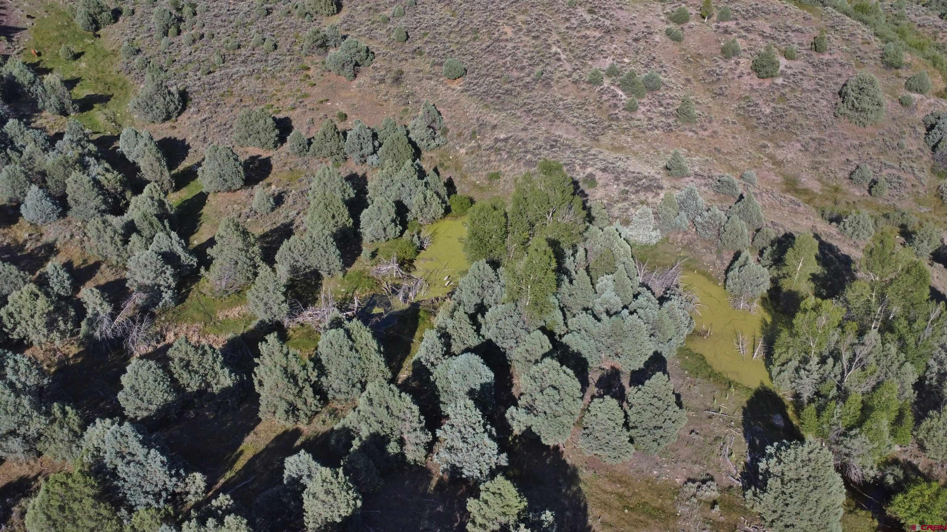 2 County Road 77 Somerset, CO 81434 - Photo 11 of 14