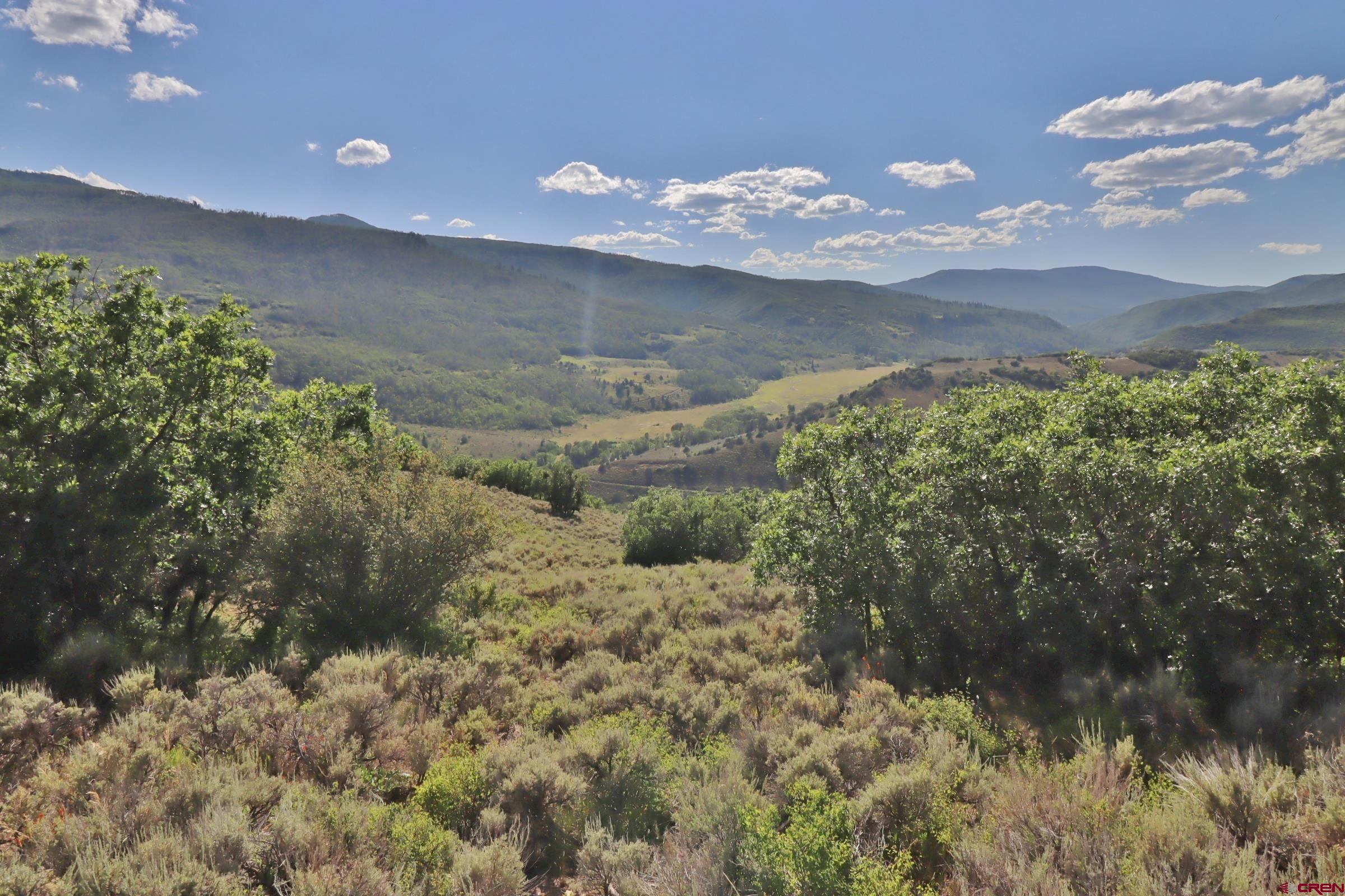 2 County Road 77 Somerset, CO 81434 - Photo 12 of 14