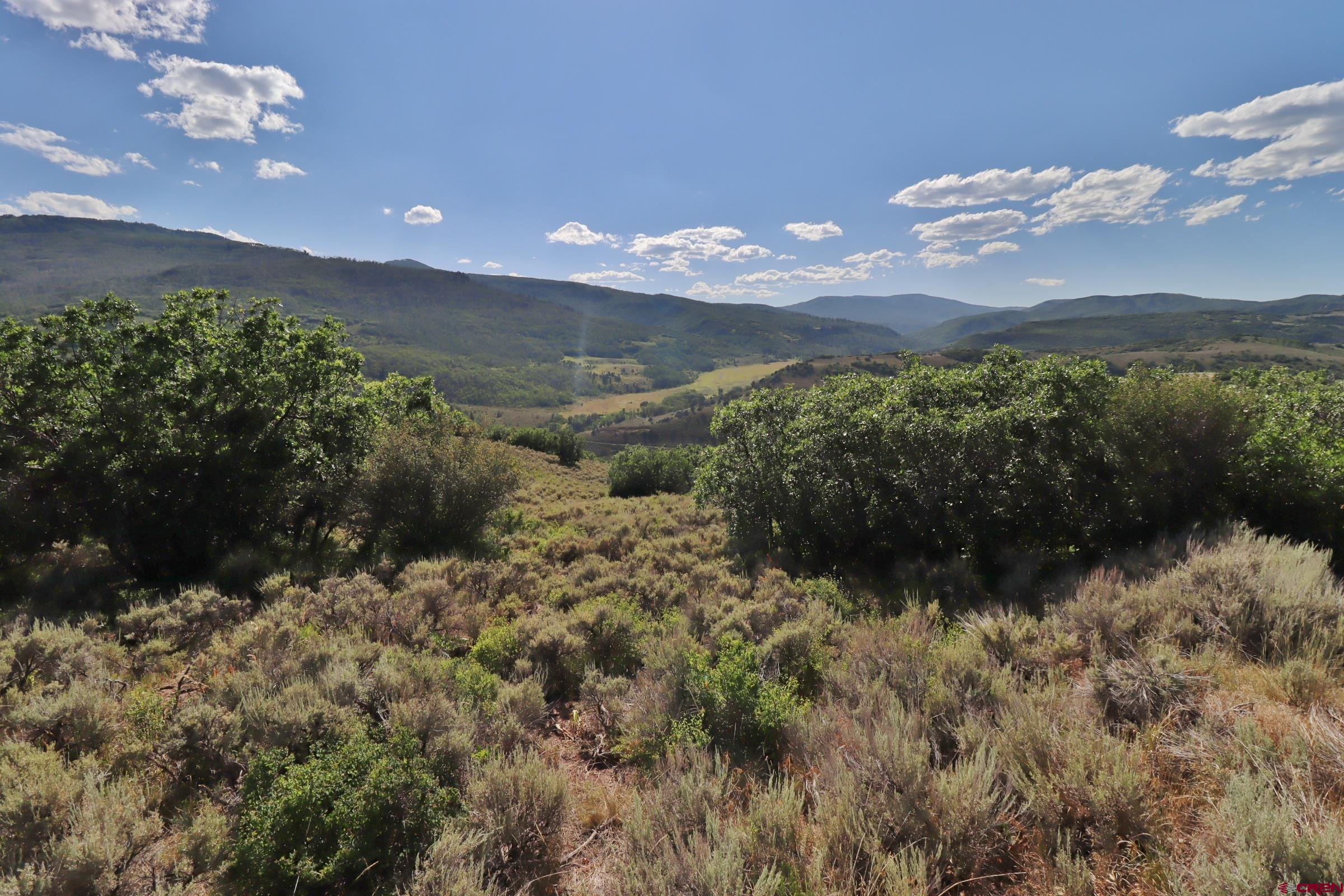 2 County Road 77 Somerset, CO 81434 - Photo 14 of 14 a view of a bunch of trees in a field