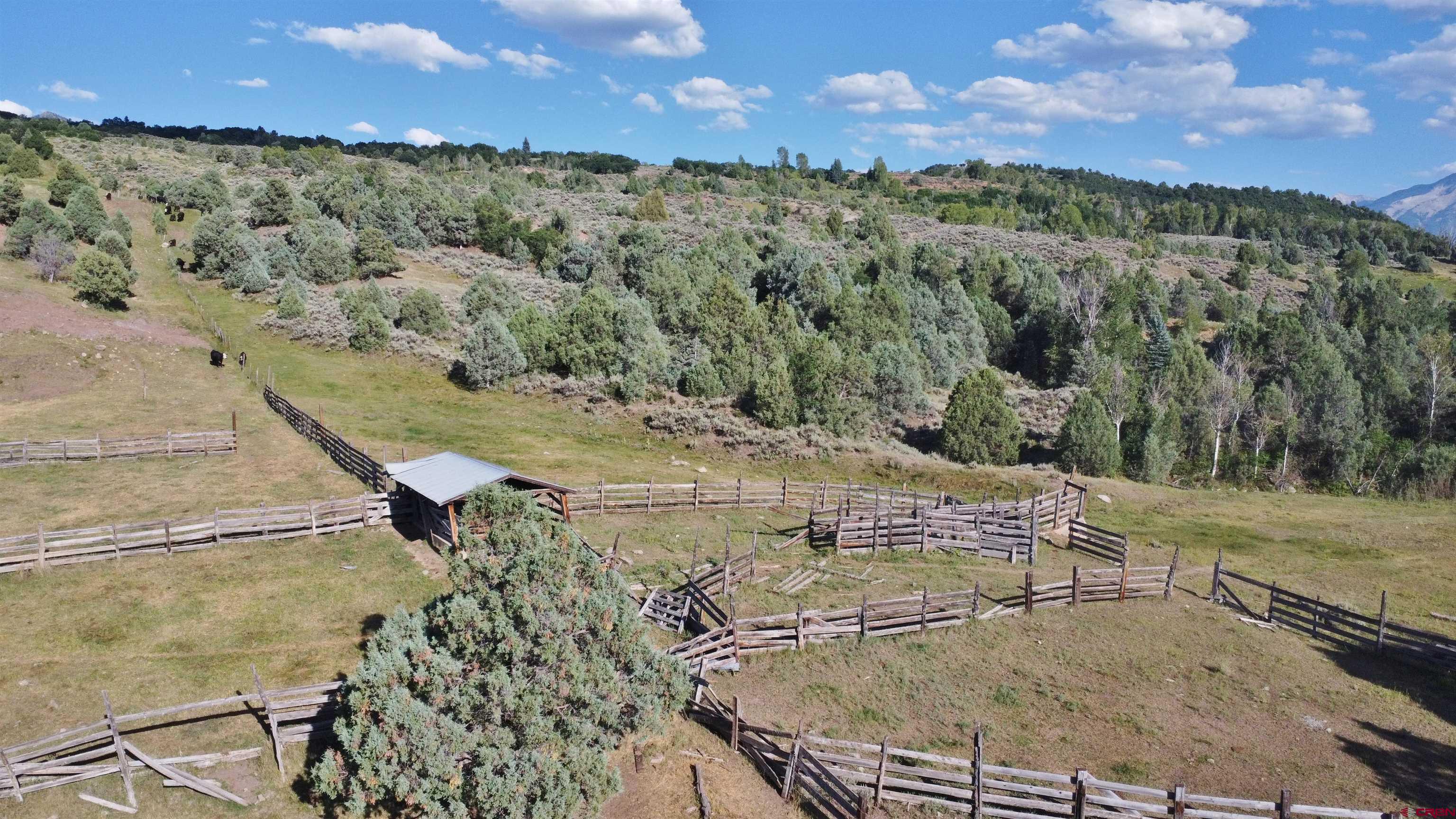 2 County Road 77 Somerset, CO 81434 - Photo 4 of 14