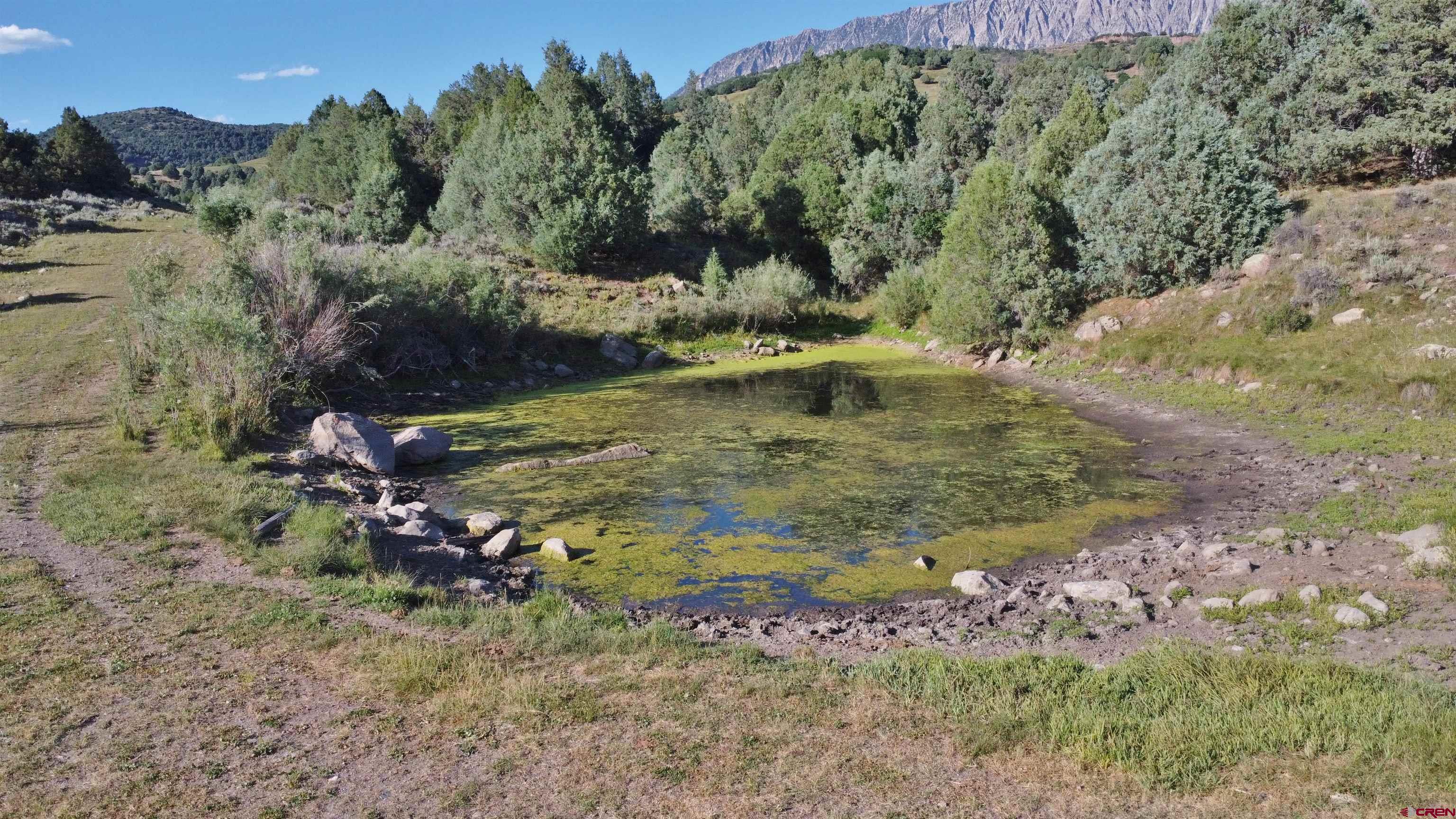 2 County Road 77 Somerset, CO 81434 - Photo 10 of 14
