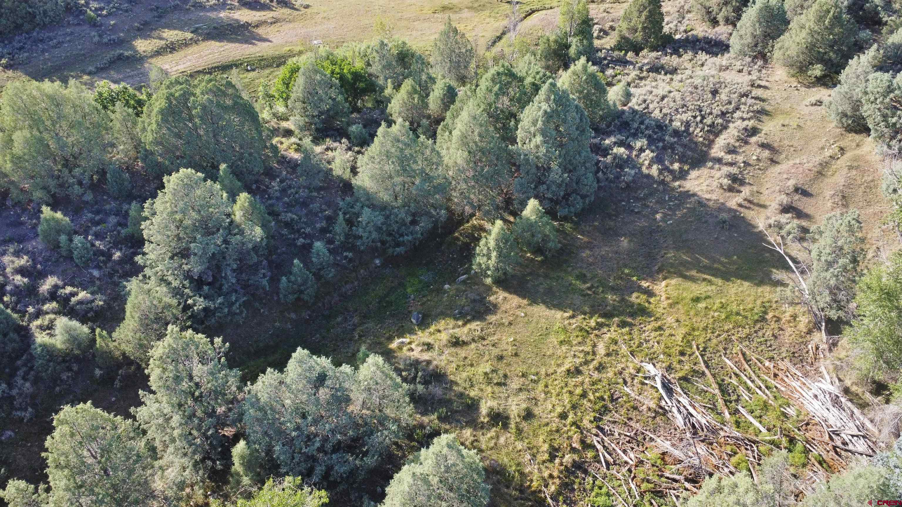 2 County Road 77 Somerset, CO 81434 - Photo 10 of 14 a view of a yard with a tree