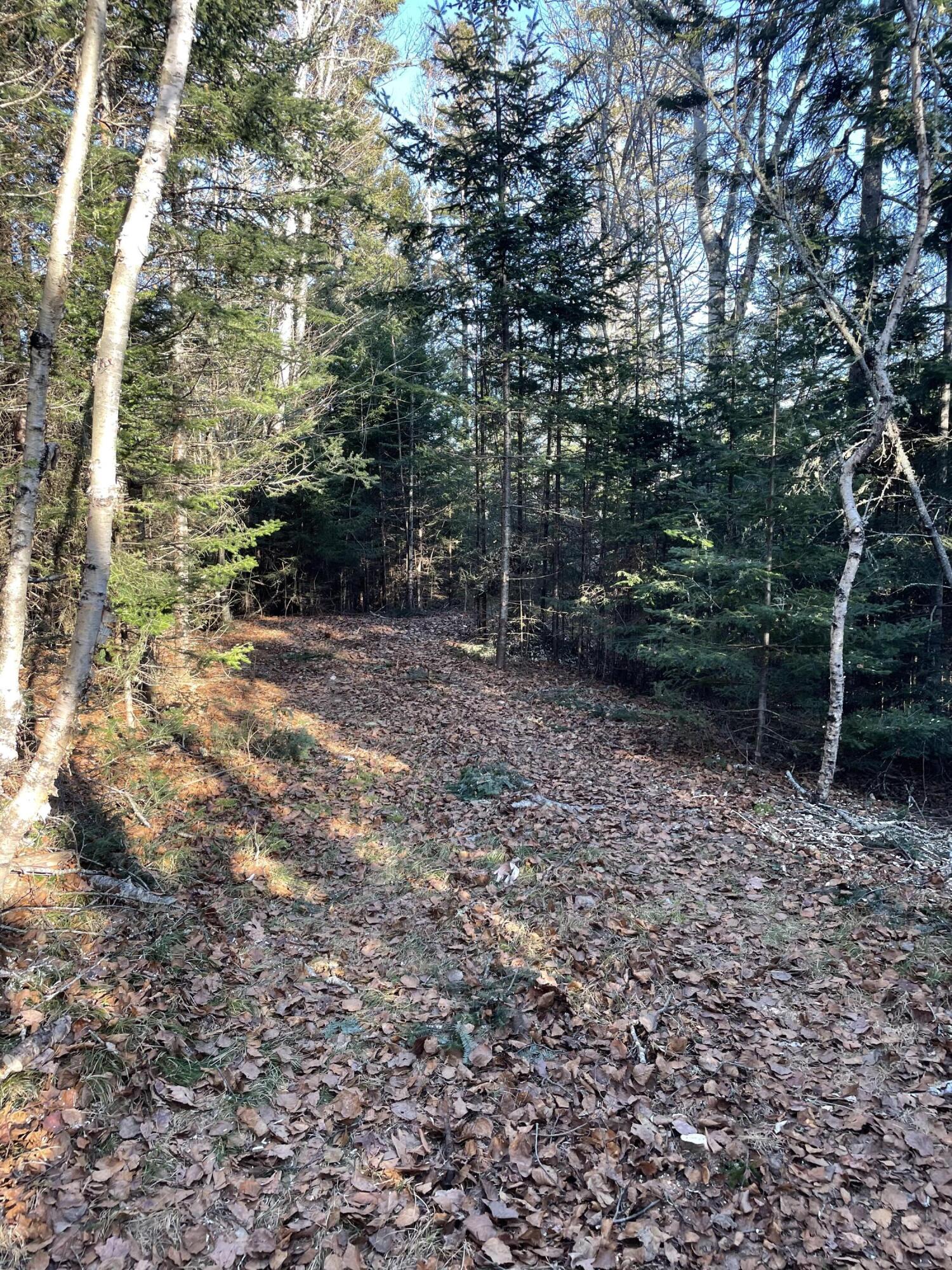 58-20 Paul Bunyan Road Corea, ME 04624 - Photo 14 of 15 0A8671B8-BA4D-4AC0-82A3-13BB1484F266