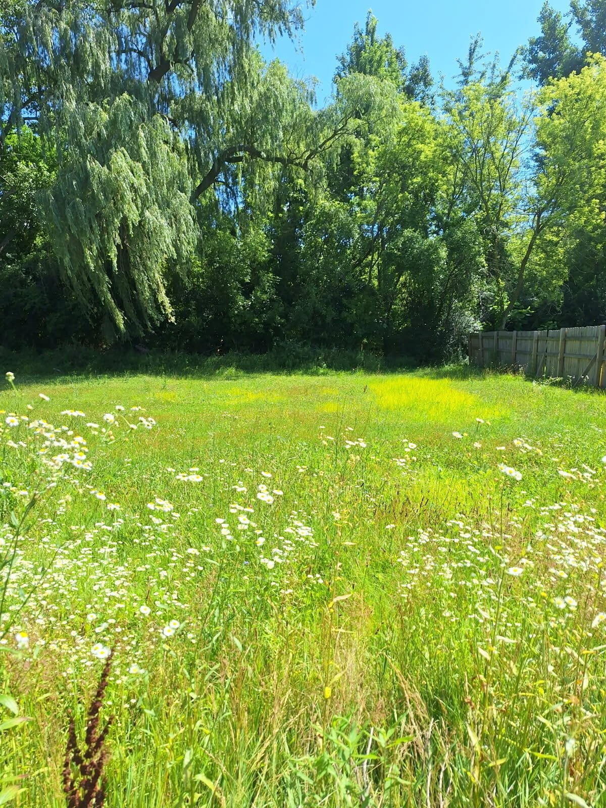7101 McCliggott Road Saginaw, MI 48609 - Photo 2 of 5 8181466530225210572