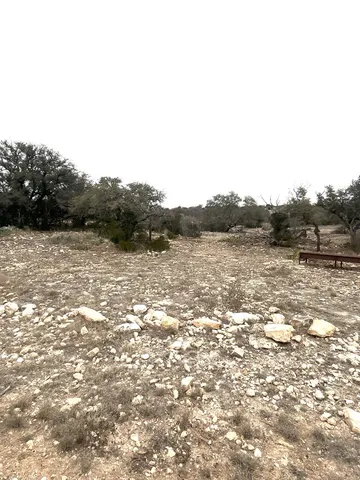 a view of a dry yard with trees
