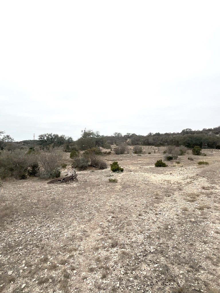 0 Other Rocksprings, TX 78880 - Photo 18 of 61 a view of a dry yard with trees
