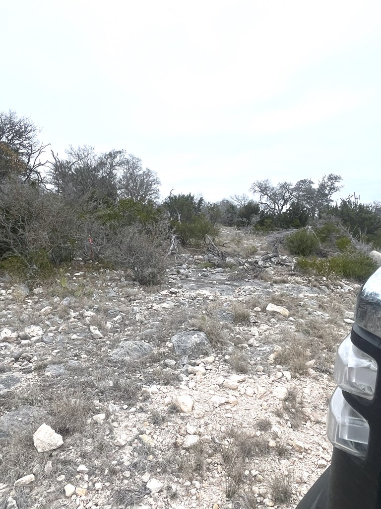 0 Other Rocksprings, TX 78880 - Photo 2 of 61 a view of a yard with a tree