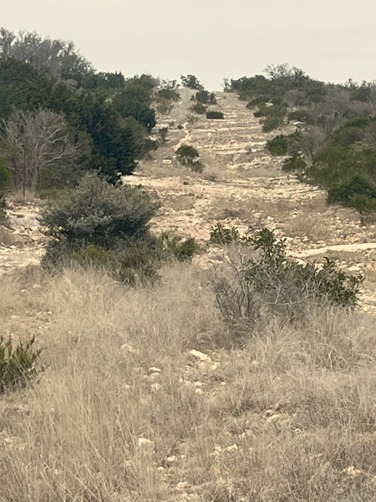 0 Other Rocksprings, TX 78880 - Photo 22 of 61