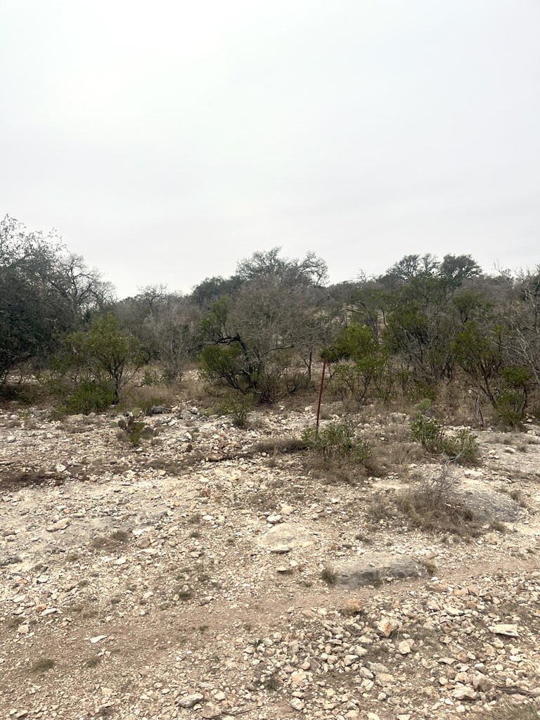 0 Other Rocksprings, TX 78880 - Photo 24 of 61 a view of a dry yard with mountains in the background