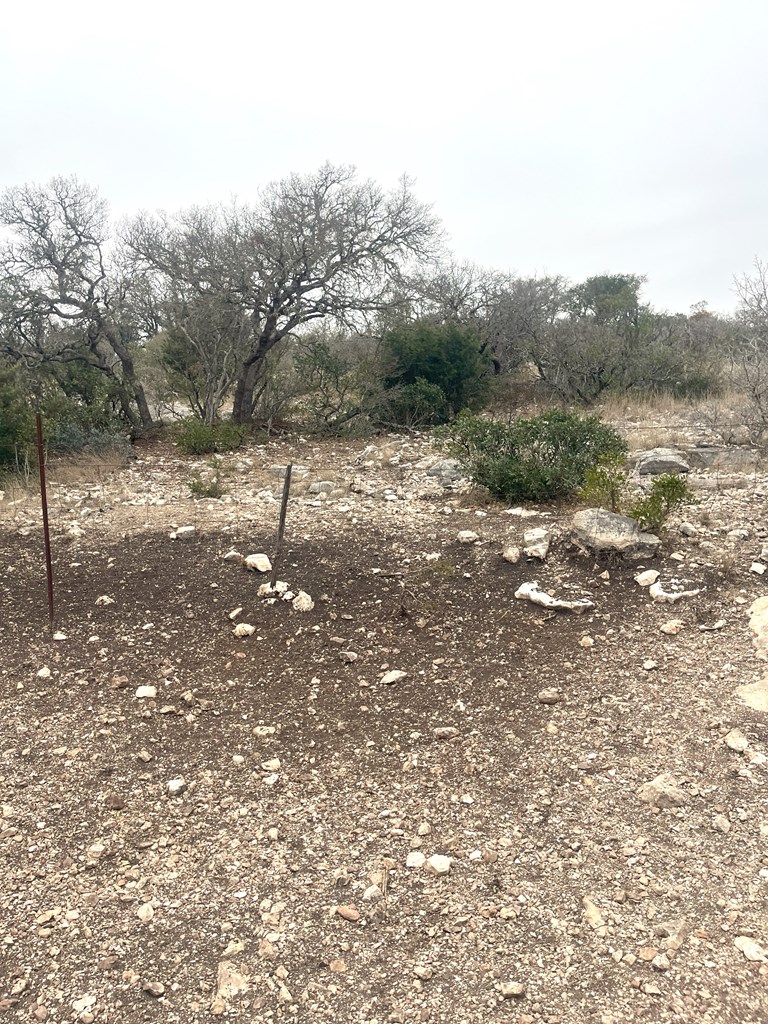 0 Other Rocksprings, TX 78880 - Photo 25 of 61 a backyard of a house with lots of green space