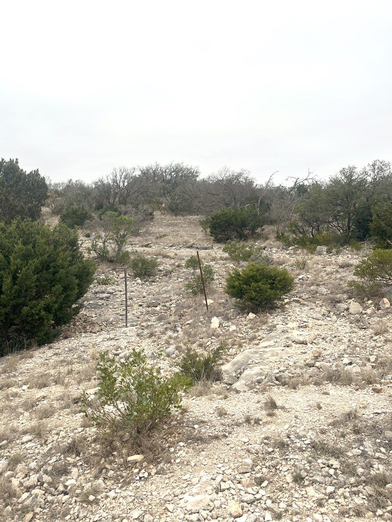 0 Other Rocksprings, TX 78880 - Photo 26 of 61