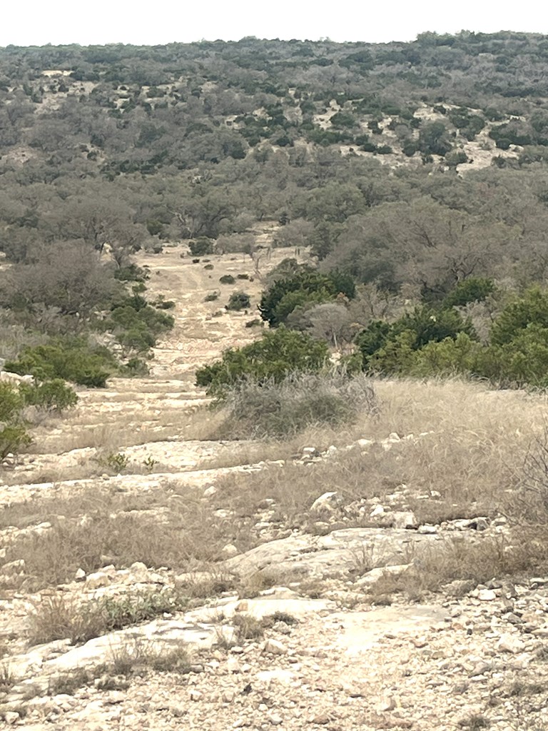 0 Other Rocksprings, TX 78880 - Photo 30 of 61