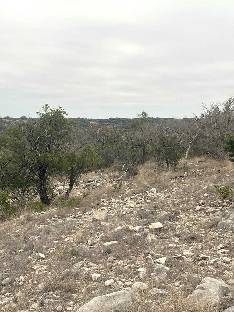 0 Other Rocksprings, TX 78880 - Photo 36 of 61 a view of a dry yard with mountains in the background