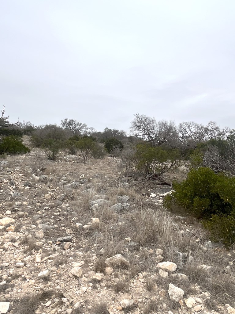0 Other Rocksprings, TX 78880 - Photo 4 of 61 a view of a forest with trees in the background