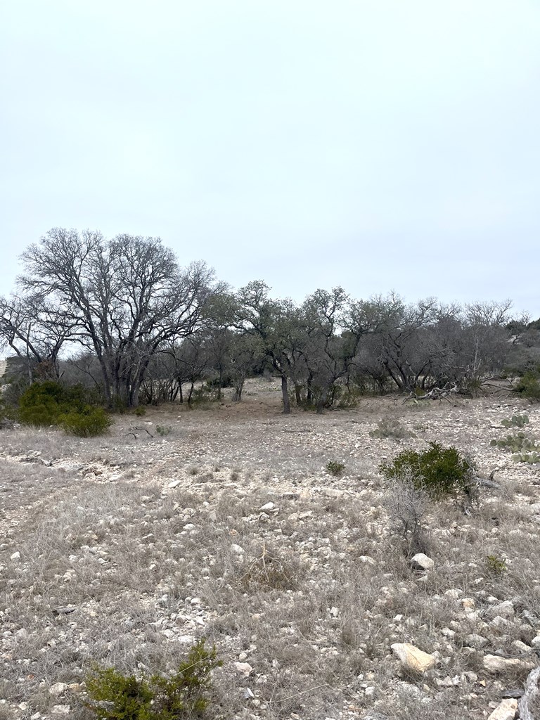 0 Other Rocksprings, TX 78880 - Photo 44 of 61 a view of dirt field with trees