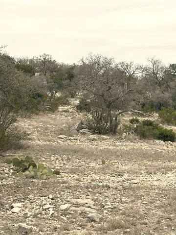 a vase of flowers sitting on a table
