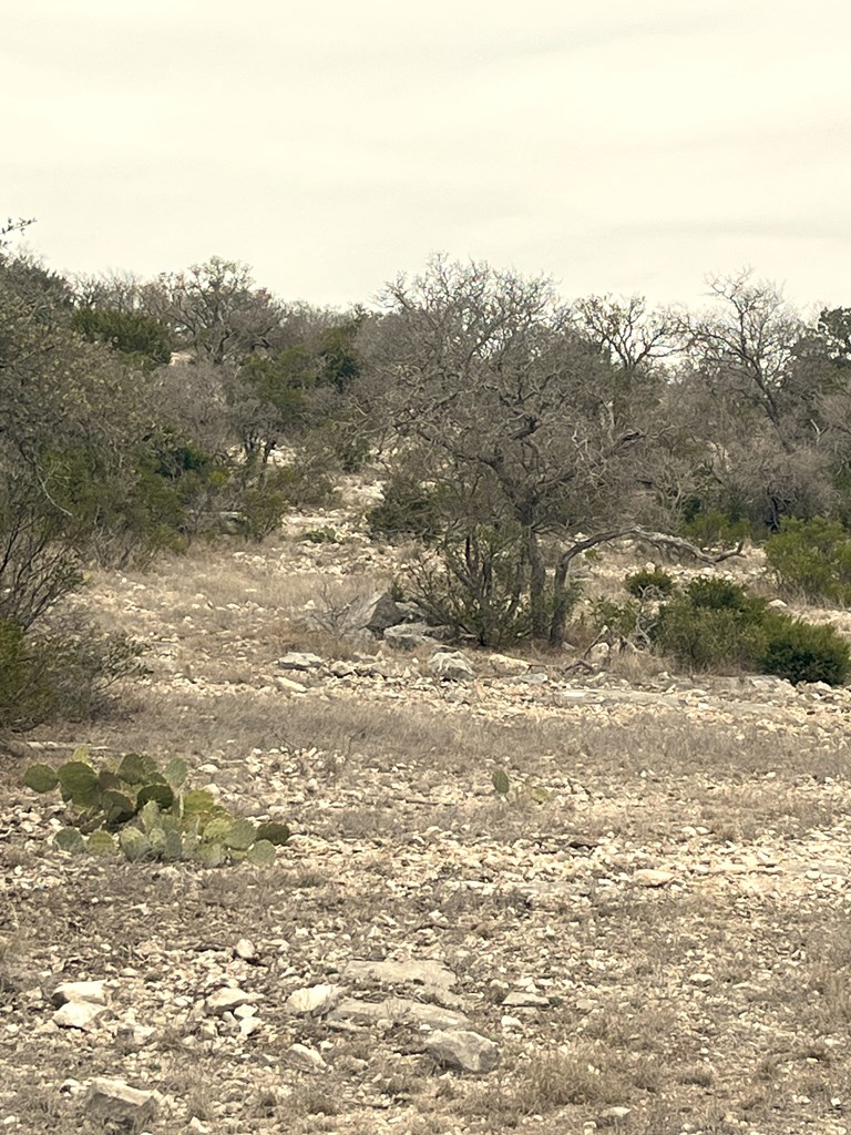 0 Other Rocksprings, TX 78880 - Photo 46 of 61 a view of a mountain view