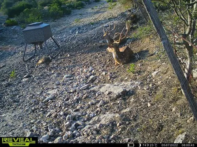 $171,350 | 0 Other, Rocksprings, TX 78880