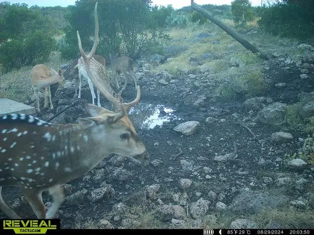 $171,350 | 0 Other, Rocksprings, TX 78880