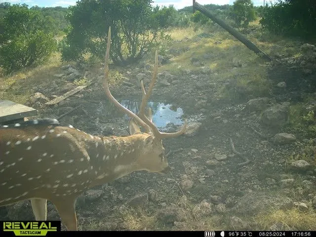 $171,350 | 0 Other, Rocksprings, TX 78880