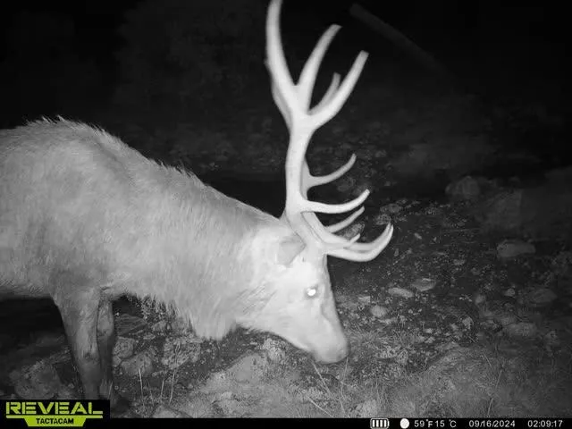 $171,350 | 0 Other, Rocksprings, TX 78880