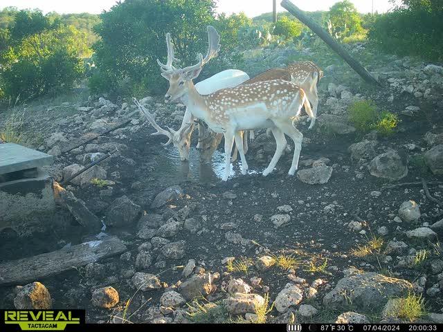 0 Other Rocksprings, TX 78880 - Photo 60 of 61 a view of an outdoor space with seating area