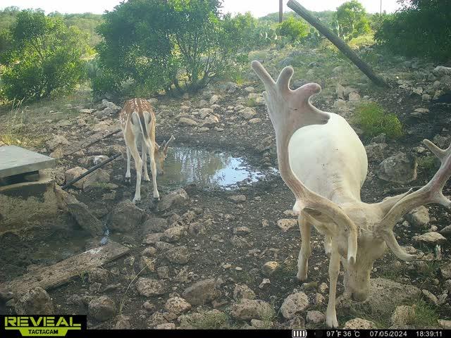 0 Other Rocksprings, TX 78880 - Photo 61 of 61 a backyard of a house with table and chairs