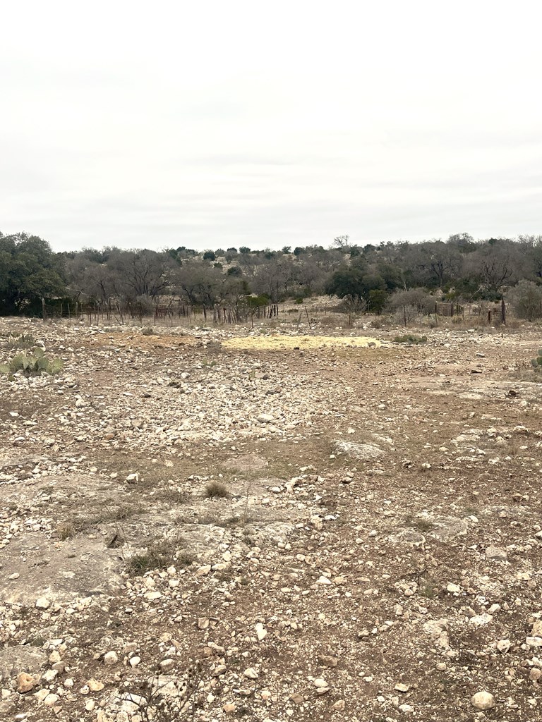 0 Other Rocksprings, TX 78880 - Photo 9 of 61