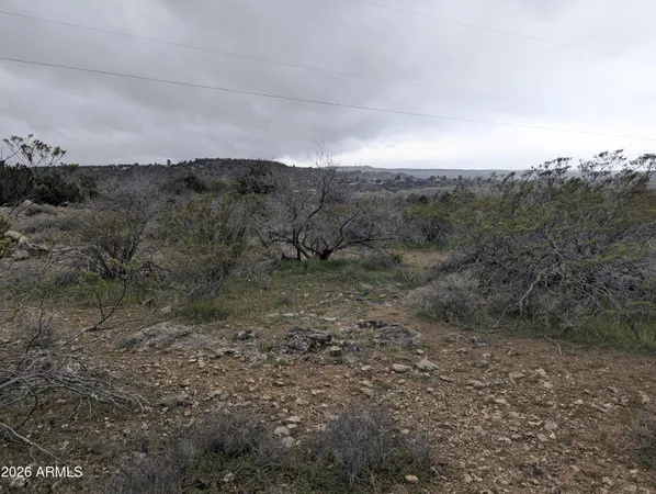 a view of a dry yard with green space