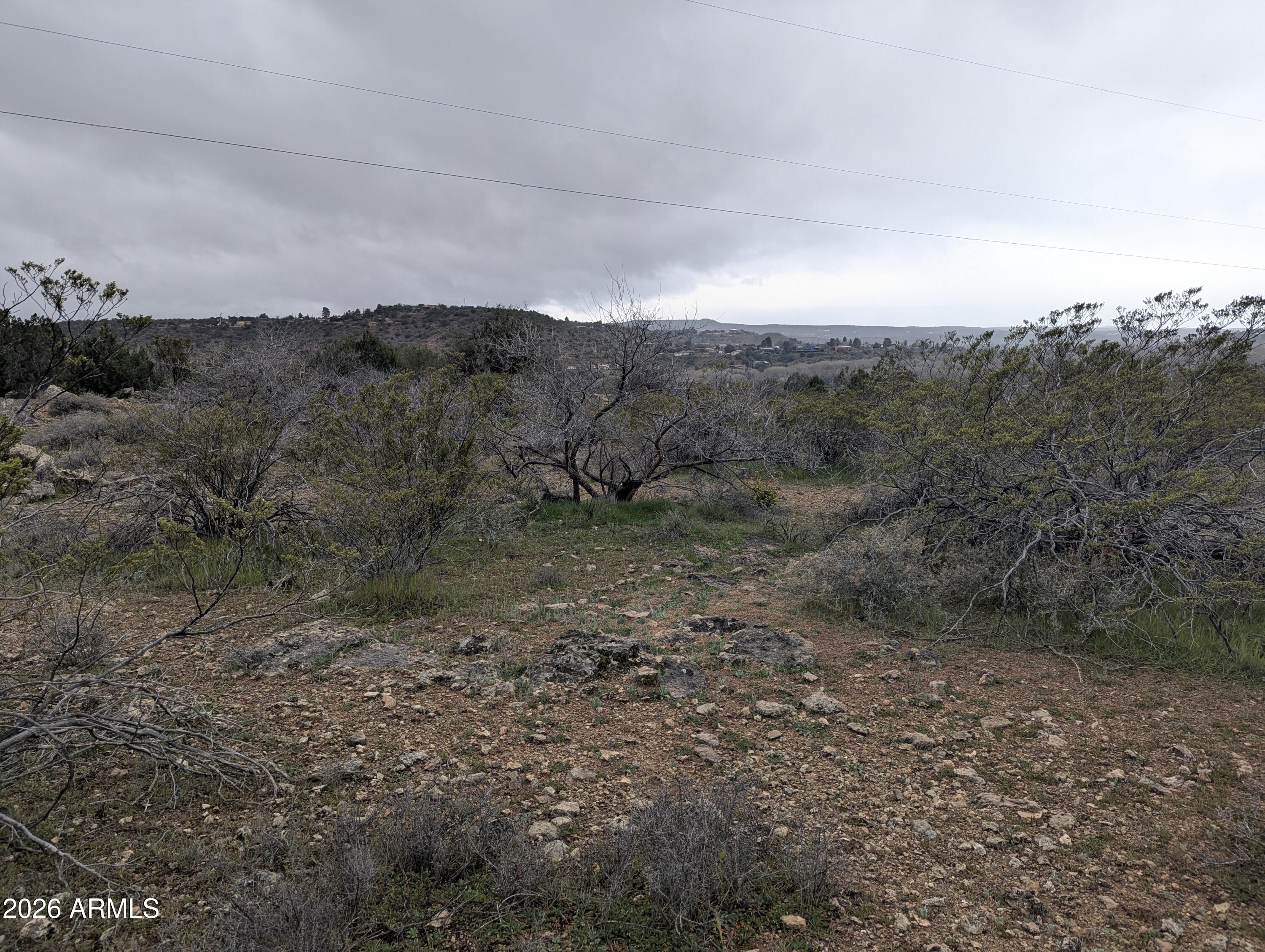 a view of a dry yard with green space