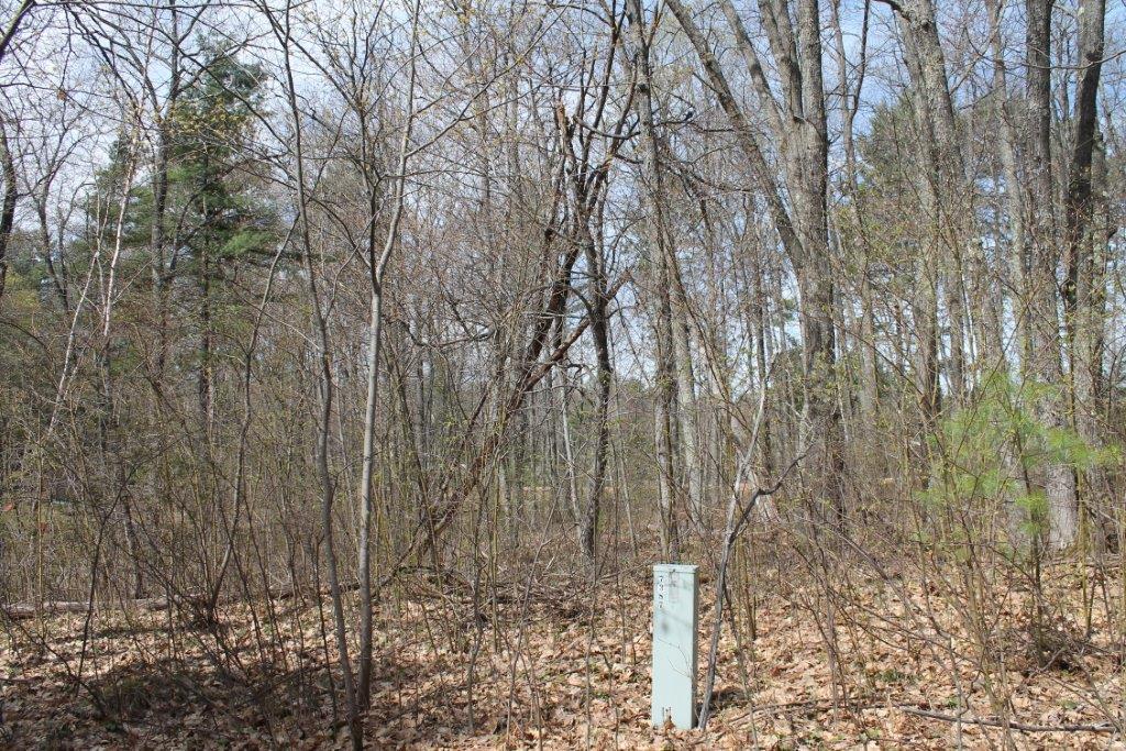 On Numa Road, Unit LOT 15 Hazelhurst, WI 54531 - Photo 14 of 23 Gallery Image 14