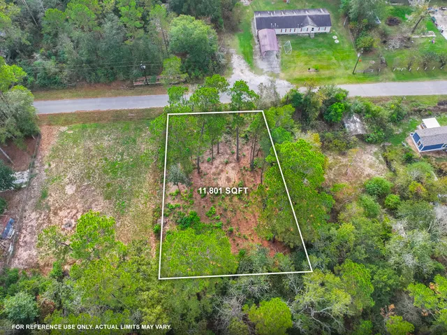 a view of a yard with a plant