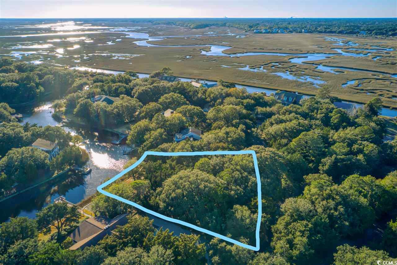 Prospect Point Loop Georgetown, SC 29440 - Photo 3 of 4