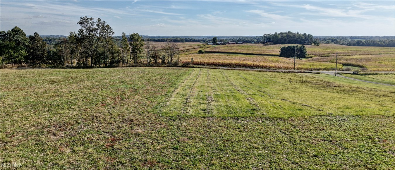 520 State Route Glenmont, OH 44628 - Photo 12 of 20 View of green lawn with a view of rural / pastoral area