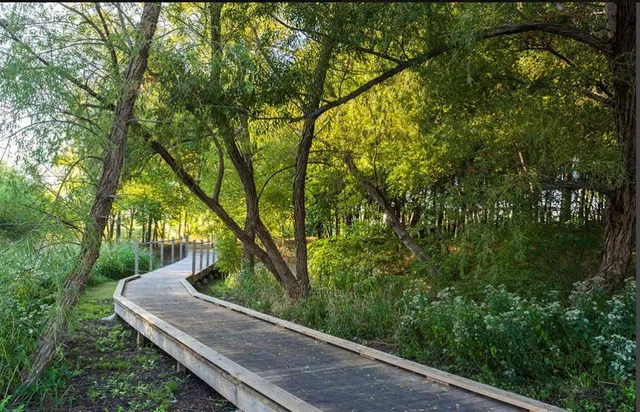 $498,000 | 7636 Cherry Blossom Lane, Little Elm, TX 76227