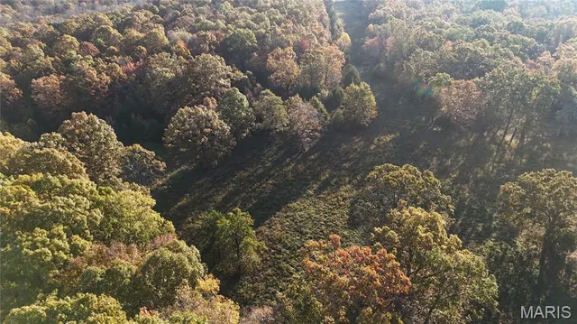 $112,000 | 6 County Road 4215, Salem, MO 65560