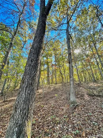 $112,000 | 6 County Road 4215, Salem, MO 65560