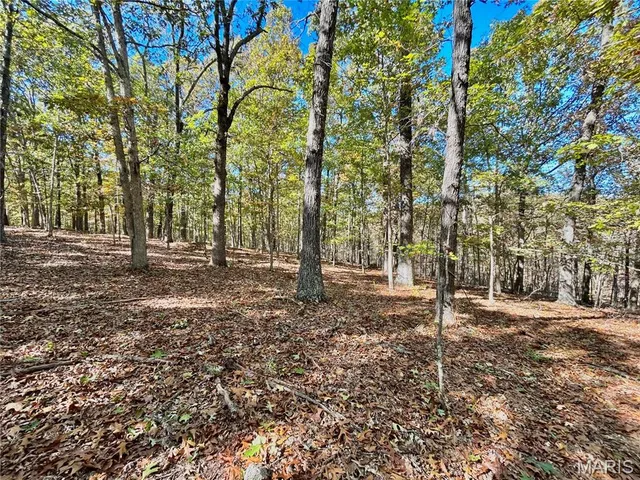 $112,000 | 6 County Road 4215, Salem, MO 65560