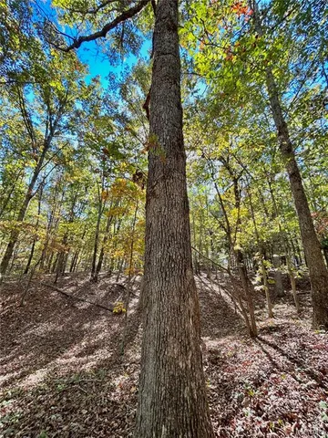 $112,000 | 6 County Road 4215, Salem, MO 65560