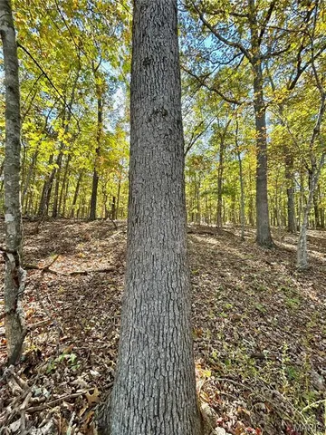 $112,000 | 6 County Road 4215, Salem, MO 65560